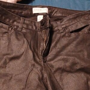 Lane Bryant Dark Denim Pants